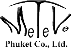 MeTeVe Logo